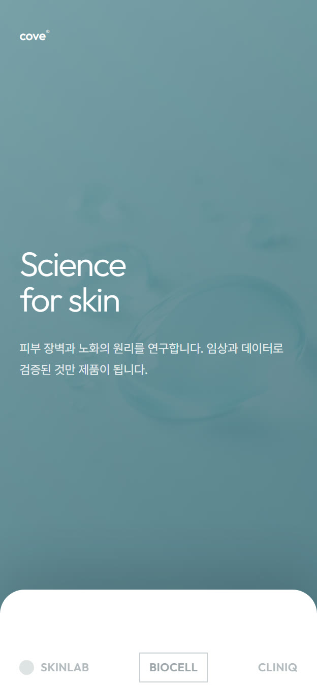 Cove 템플릿 미리보기